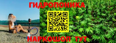прущие грибы Обь