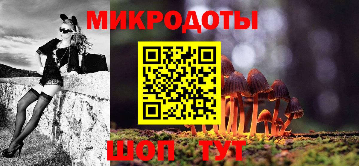 Галлюциногенные грибы Psilocybe Чапаевск