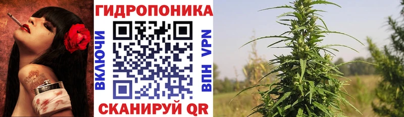 Бошки марихуана OG Kush  Чапаевск 